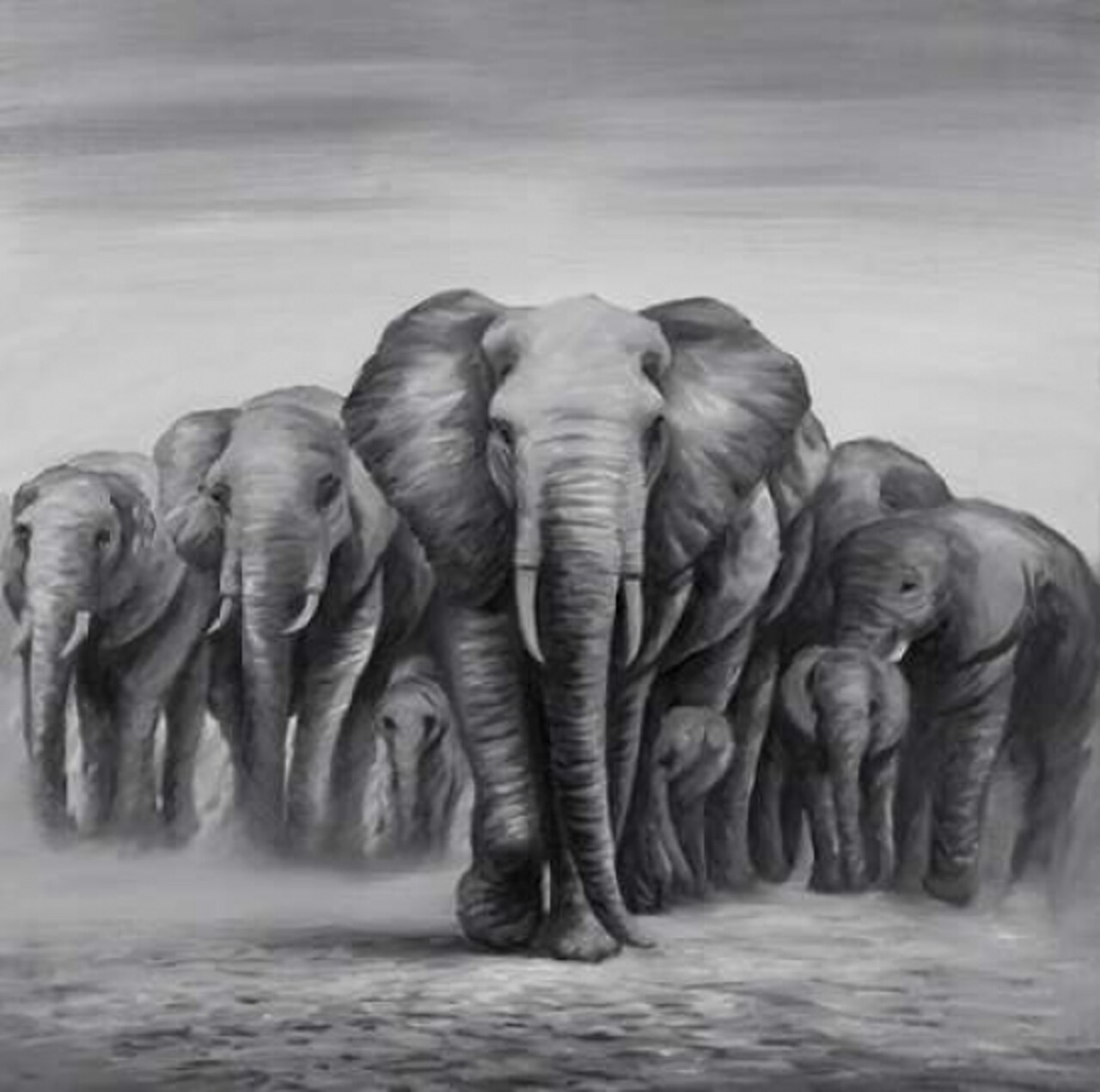 Herd Elephants Poster Print by Atelier B Art Studio - Item # VARPDXBEGANI202